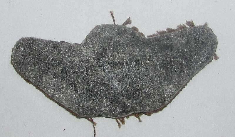 SADF - South West Africa Parachute Wings