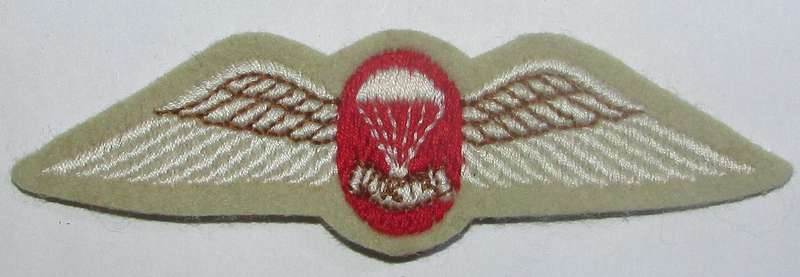SADF - Parachute Freefall Instructor Cloth Wing