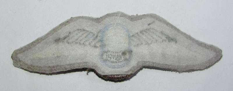 SADF - Parachute Instructor Cloth Wing