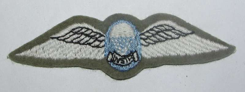 SADF - Parachute Instructor Cloth Wing