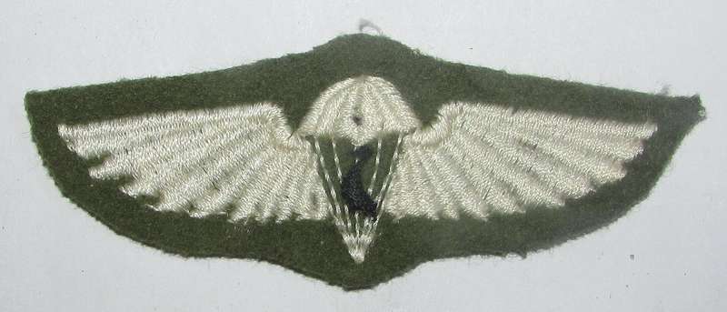 SADF - Ciskei Parachute Wing ( Possible Fake )