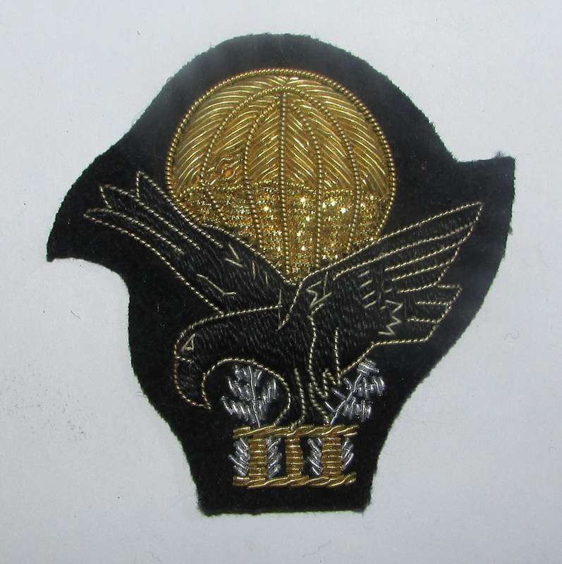 International - Tsogo Parachute Wings