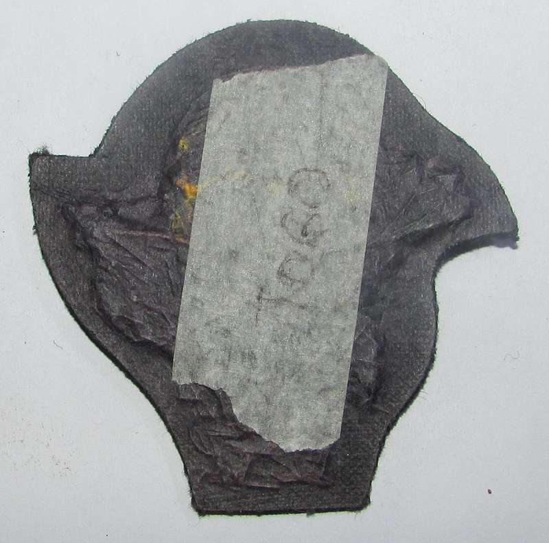 International - Tsogo Parachute Wings