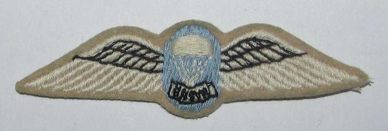 SADF - Parachute Instructor Cloth Wing