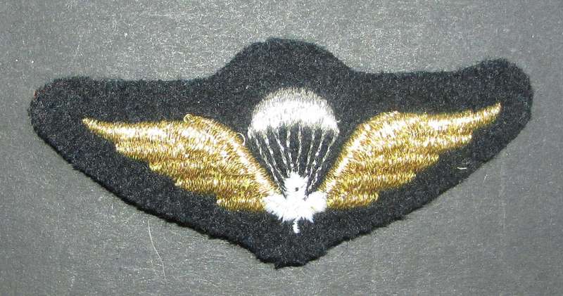 International - Vintage Canadian Airborne Paratrooper Jump Wings Badge Insignia Patch Padded
