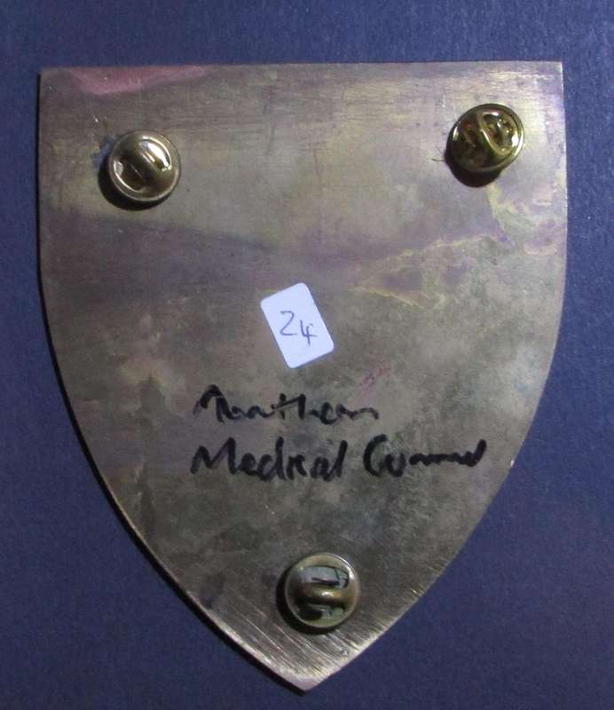 SADF - Medical Services Plaque Crest