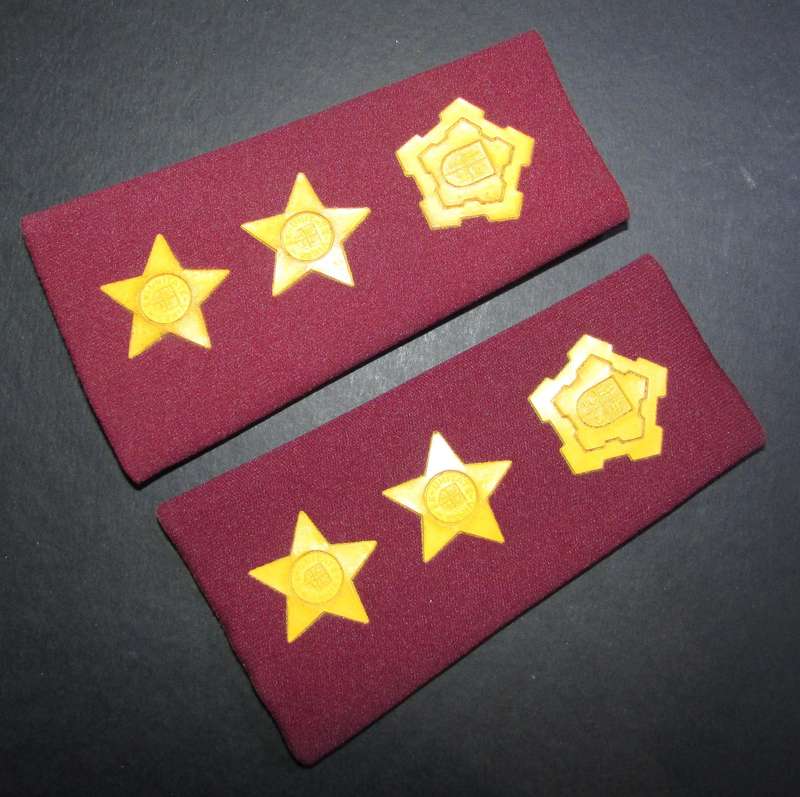 SADF - Medical Corps Colonel Slip on Ranks