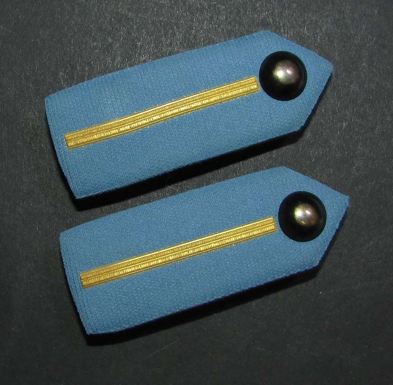 SADF - SAAF Air Force Officers Gorgets