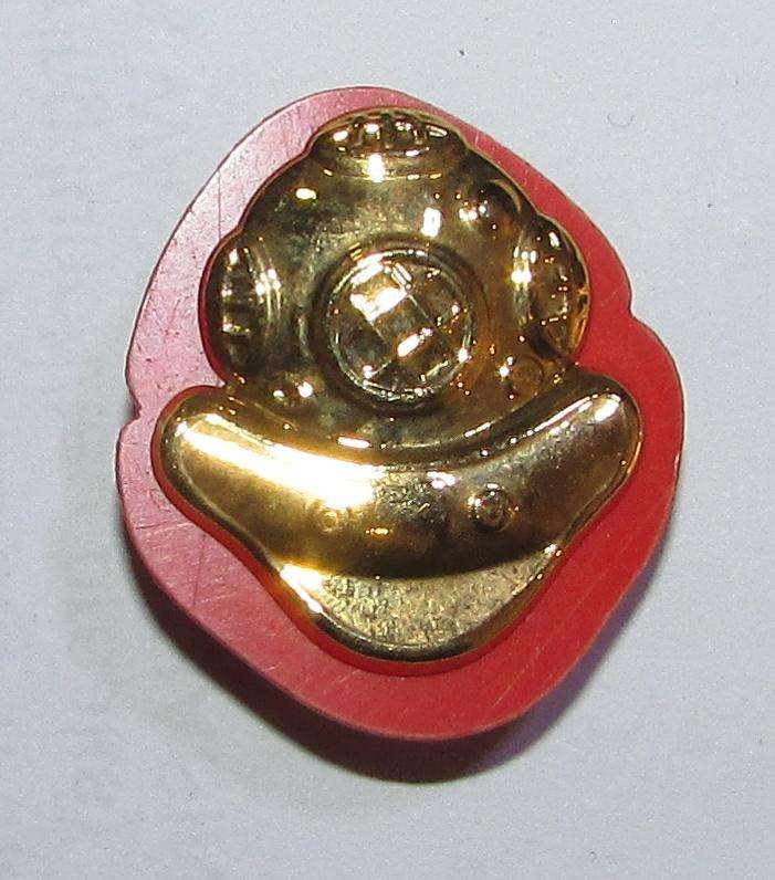 SADF - Diver Proficiency Badge