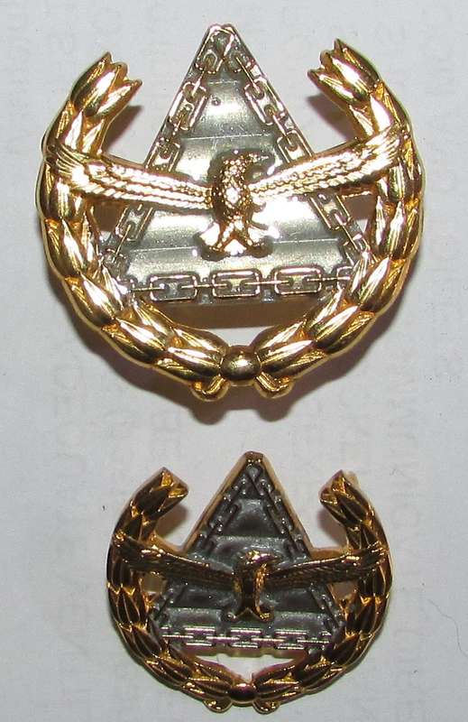 SADF - Air Force Breast Badges - Full Size and Mess Dress
