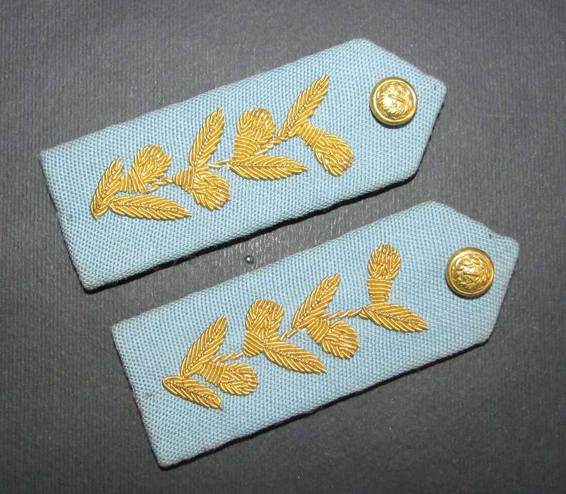 SADF - SAAF Air Force Officers Gorgets