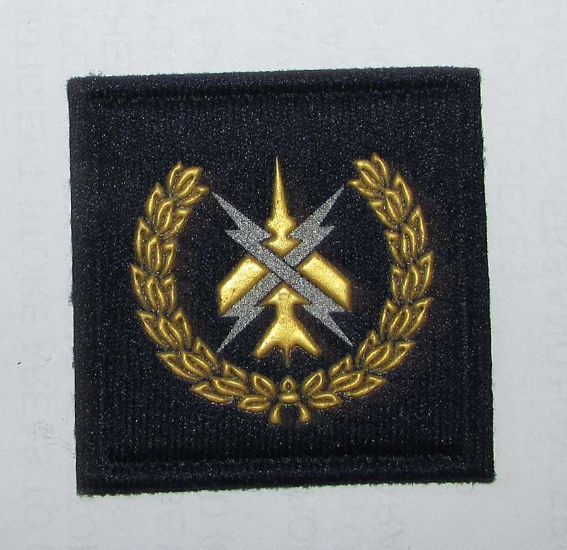 SADF - SAAF Mustering Badge