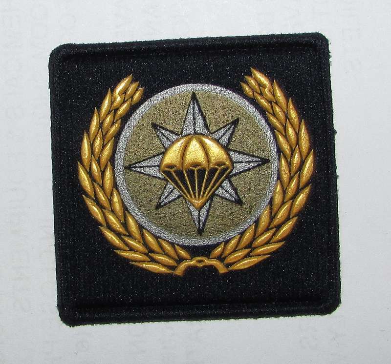 SADF - SAAF Mustering Badge
