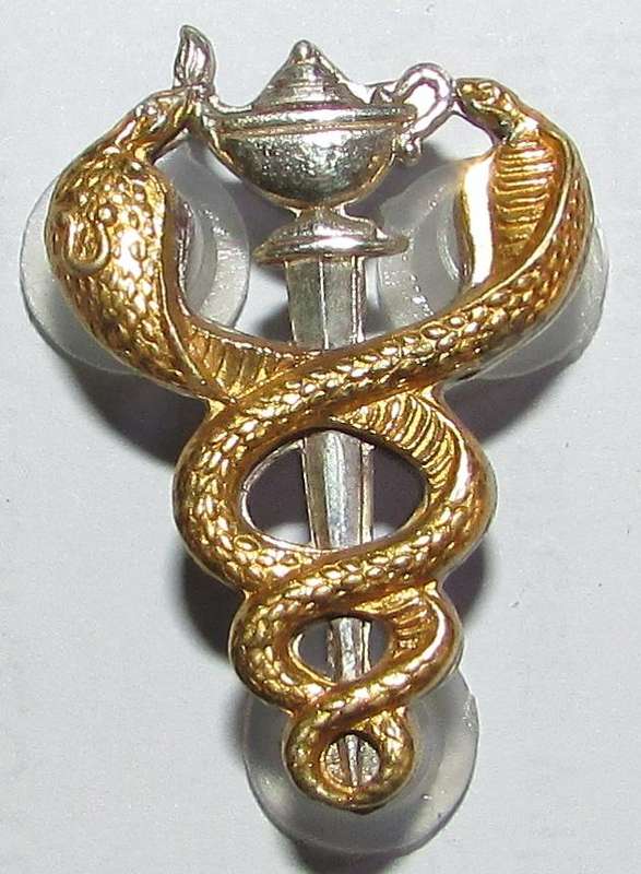 SADF - Health Services Nurse Breast Badge ( Sterling Silver )