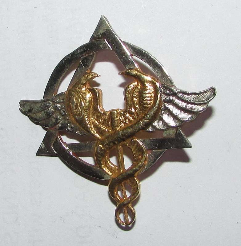 SADF - Health Services Dentist Breast Badge