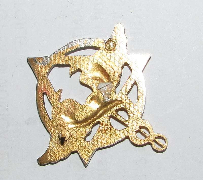 SADF - Health Services Dentist Breast Badge