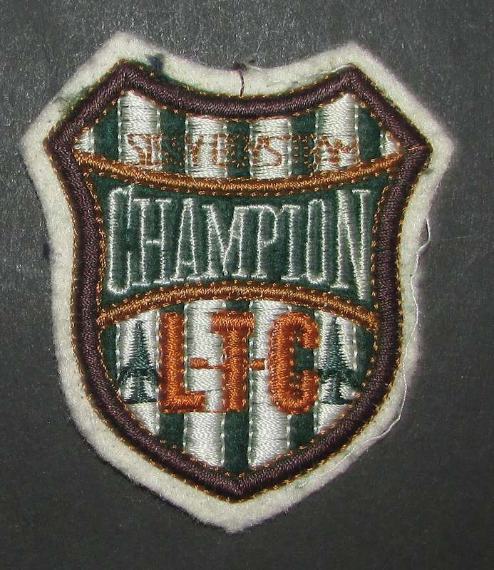 International - Patch Badge