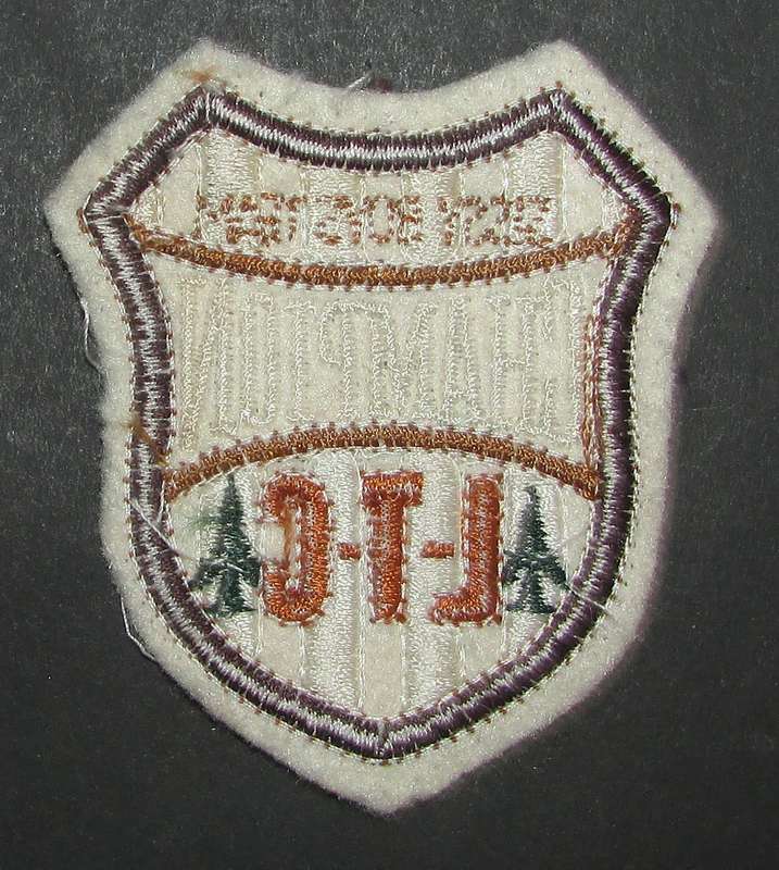International - Patch Badge