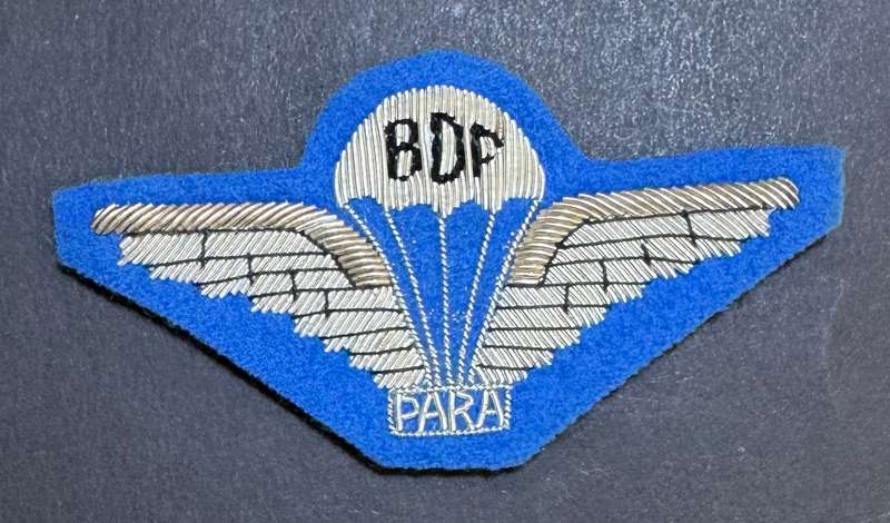 (Homelands) Bullion Wire Parachute Wing