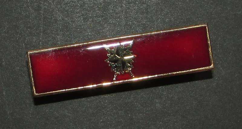 SA Army - Special Forces Regiment Higher Formation Bar