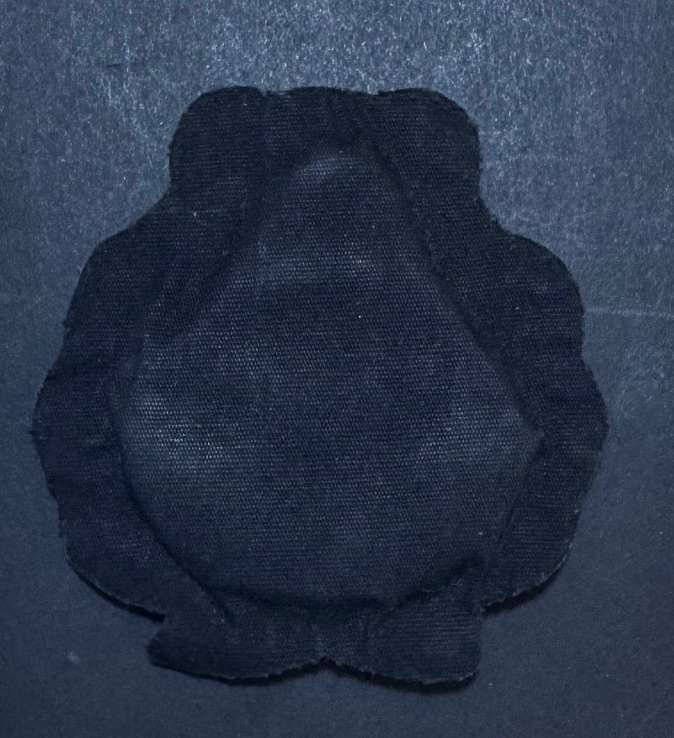 Vintage SAS/SAR Railway Cap Badge