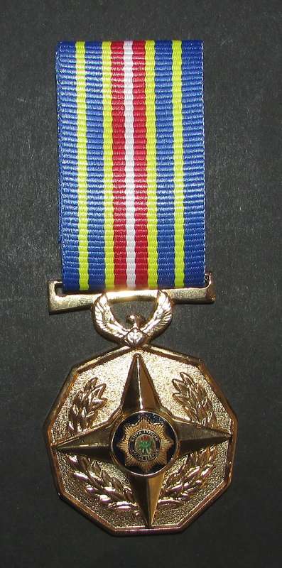 Full Size SA Silver 40 Year Service Medal
