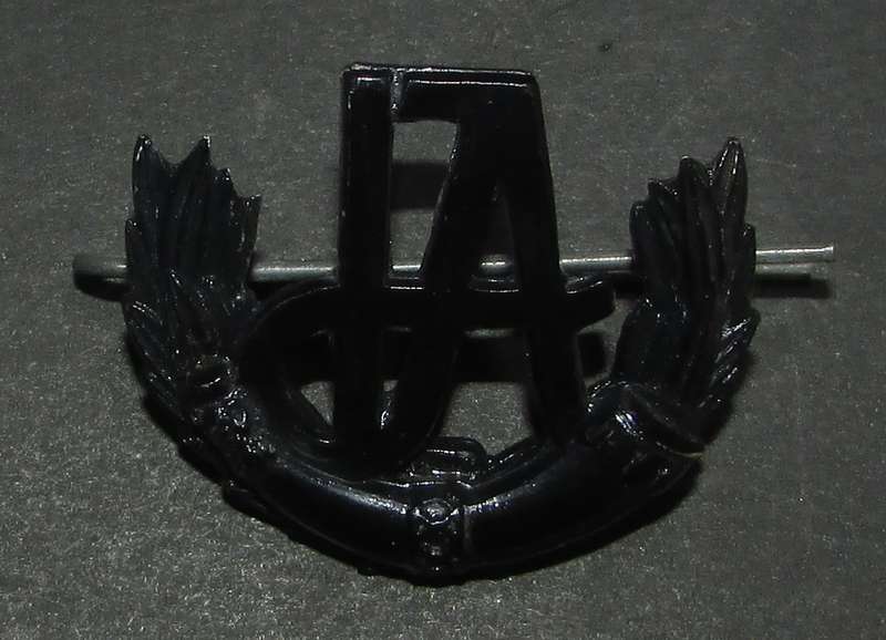 Rhodesia - INTAF Junior Warrant Officer Rank Badge