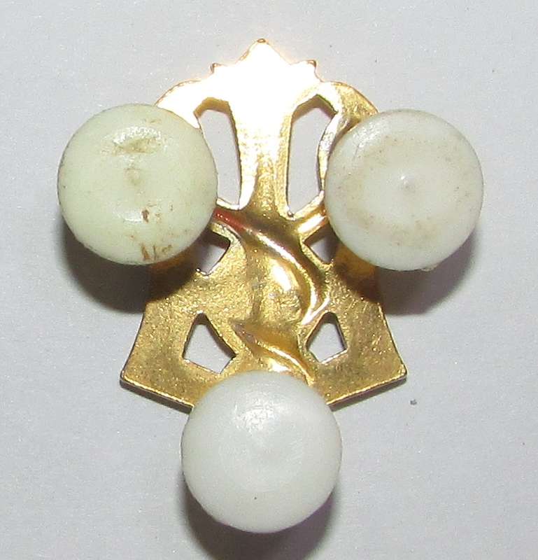 SADF - Medical Corps Breast Badge