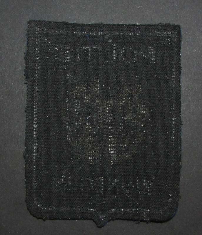 International Police - Patch Badge