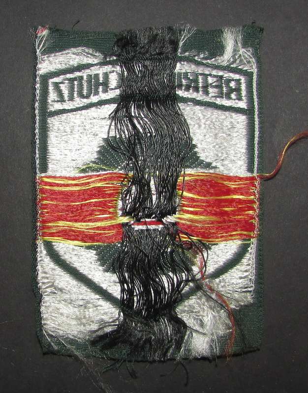 International Police - Patch Badge