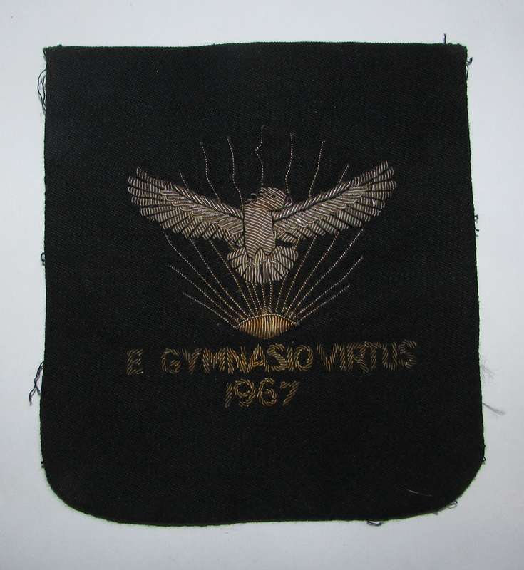 SADF - Air Force Gymnasium Bullion Wire Blazer Badge