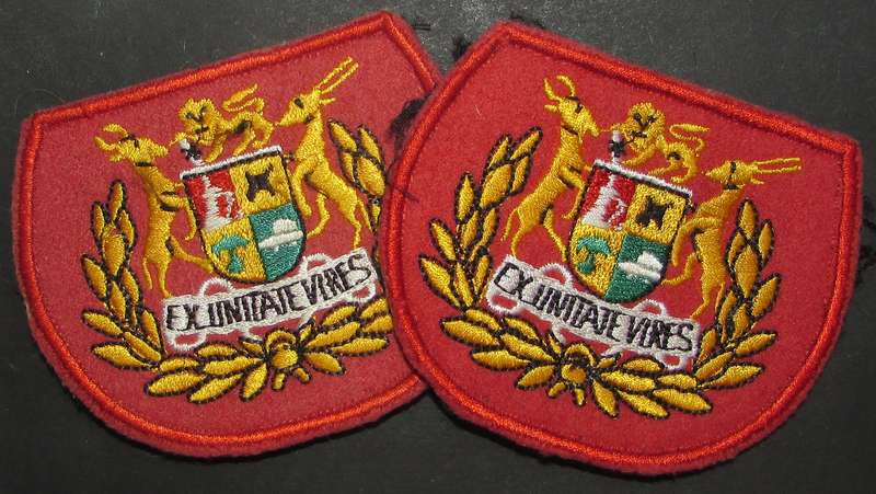 SADF - Regimental Sergeant Major Rank Pair