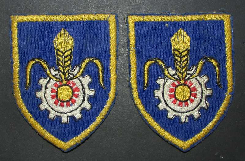 SADF -  Quatermaster General Shoulder Flash Pair