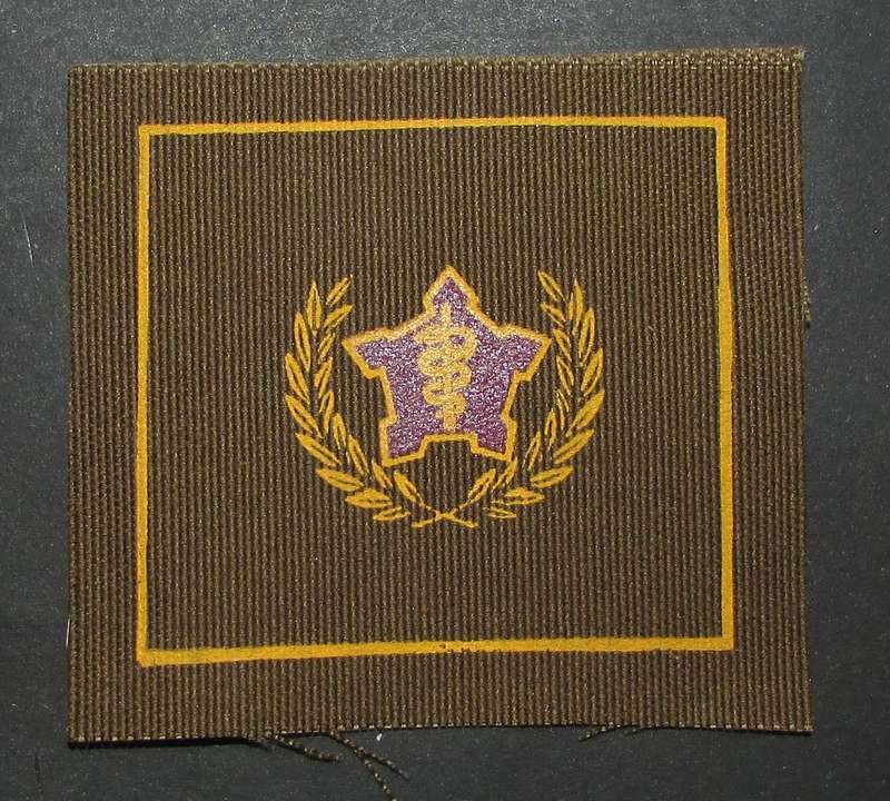 SADF - Medical Corps 5 Year Voluntary Service Breast Badge