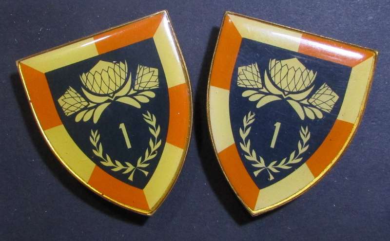 SADF - 1 Special Services Battalion Shoulder Flash Pair ( Rare Variety )