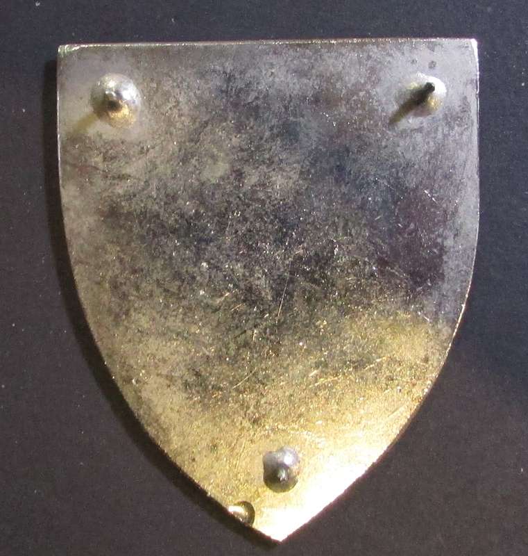 Unknown Shoulder Flash