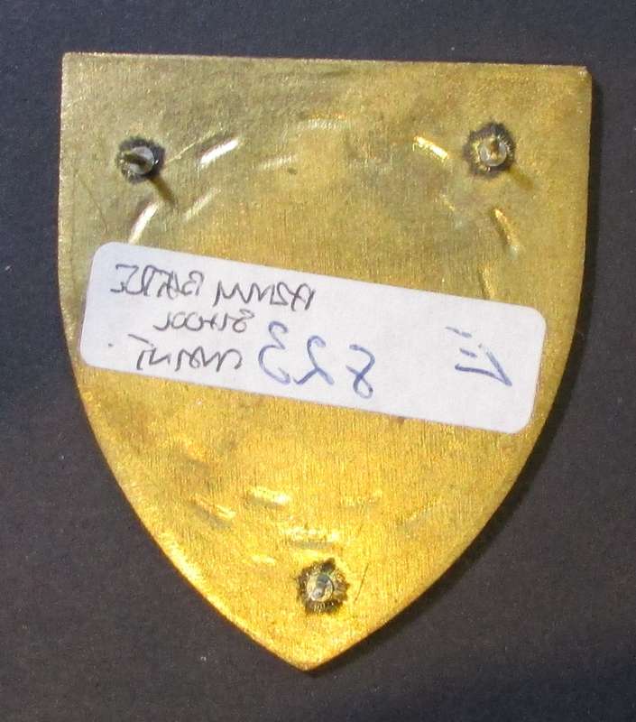 SADF - 8 Division Lohatla Shoulder Flash ( Rare )