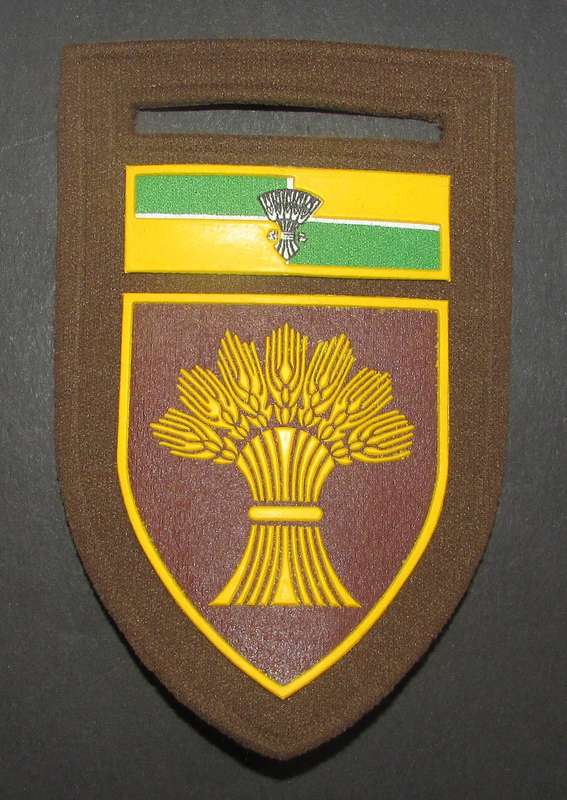 SADF - Bethlehem Commando Tupper Flash