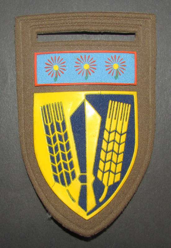 SADF - Catering Corps Tupper Flash