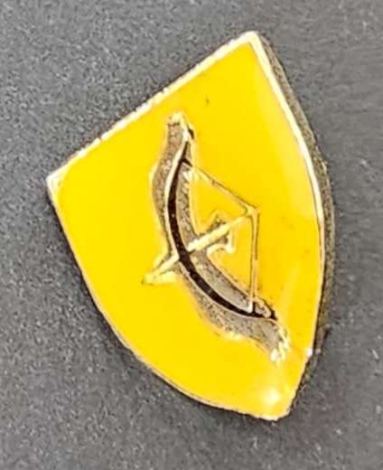SADF - SWA 203 Battalion Cravat Pin