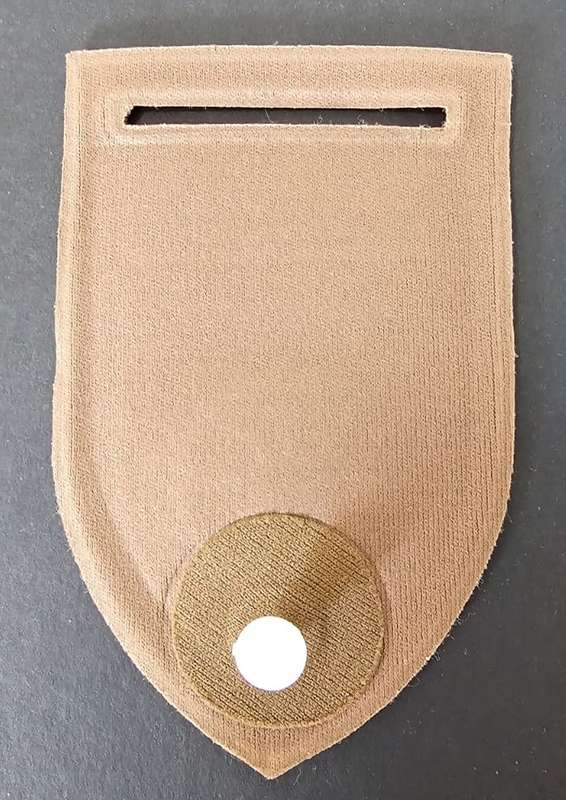 SADF - Regiment De Wet Tupper Flash