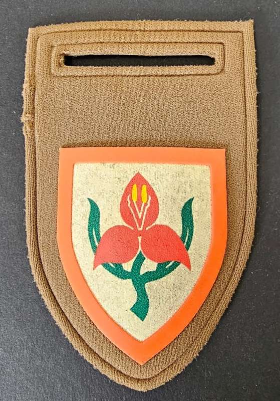 SADF - Military Academy Tupper Flash