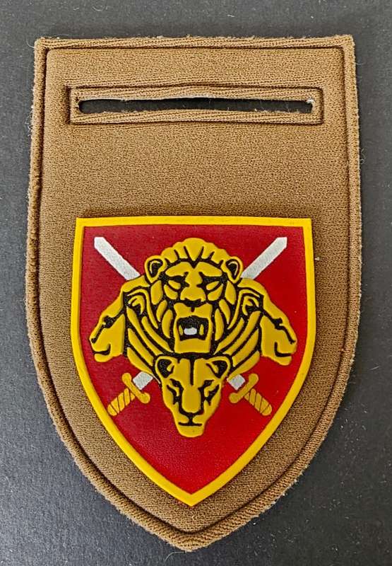 SANDF - Pride of the Nation Tupper Flash