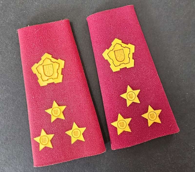 SADF - Medical Services Brigadier Slip on Ranks