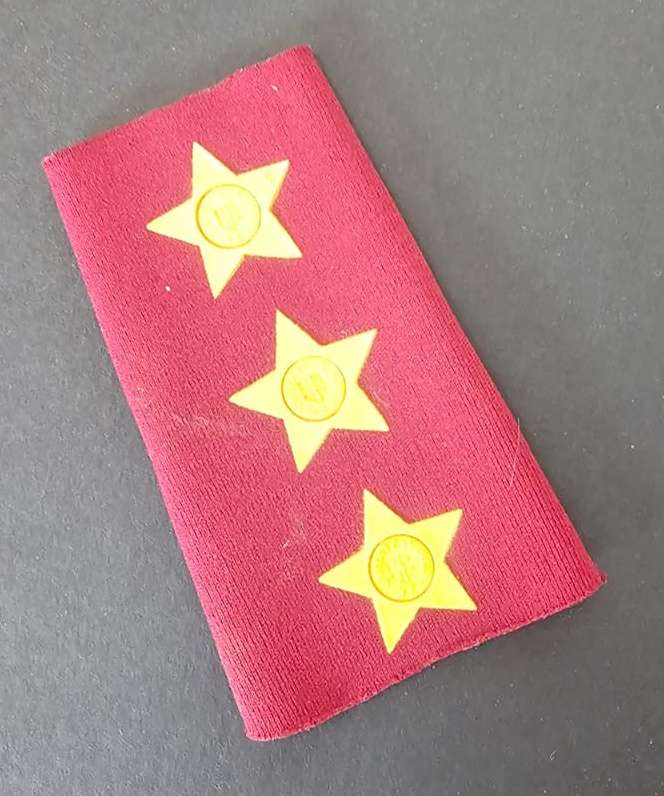 SADF - Medical Services Captain Slip on Rank