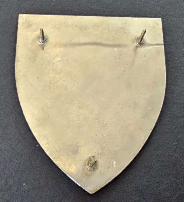 SADF - 3 Armoured Personnel Carrier Squadron Shoulder Flash