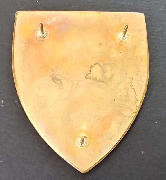 SADF - Umvoti Commando Shoulder Flash