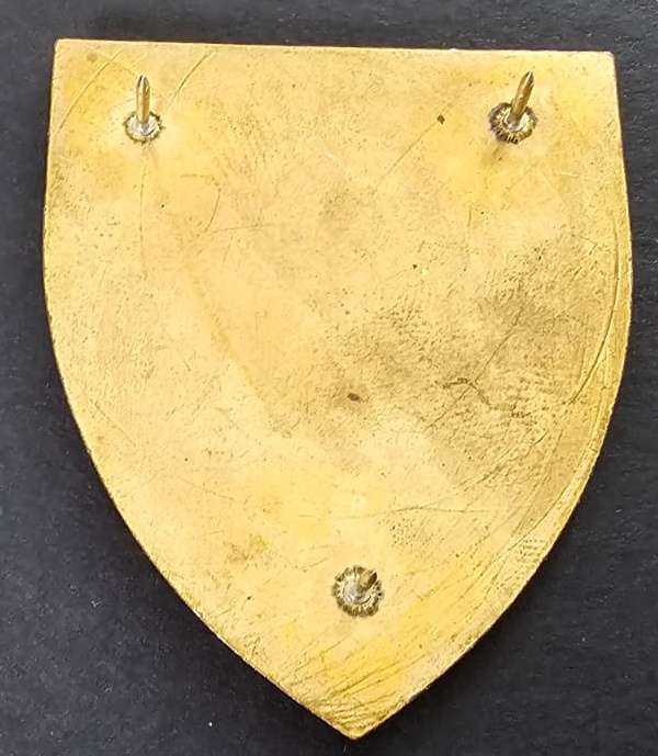SADF - Army Gymnasium Shoulder Flash