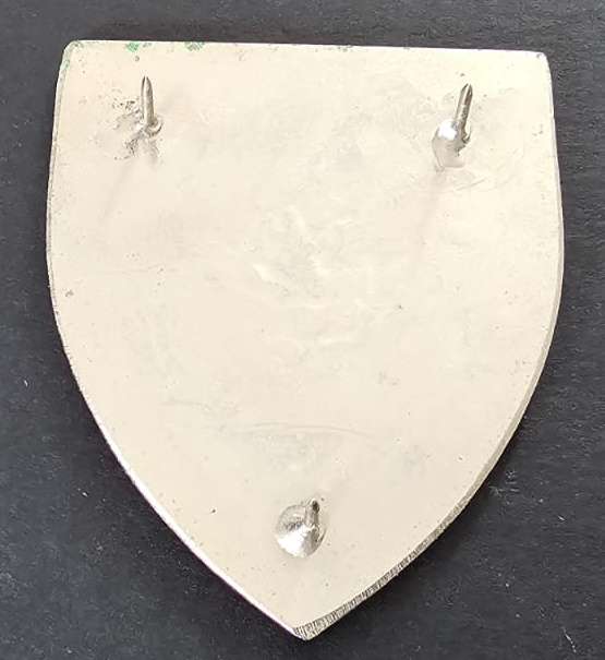SADF - Danie Theron Combat School Shoulder Flash