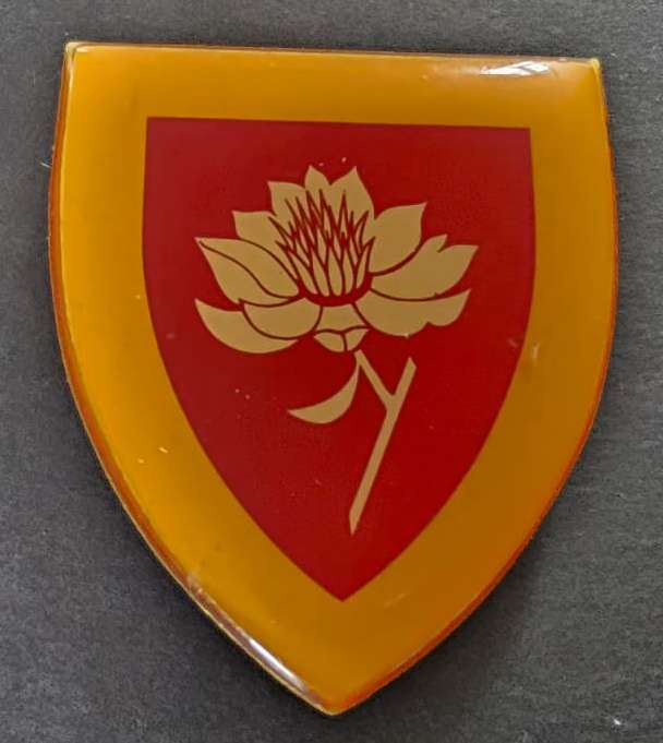 SADF - Womans College Shoulder Flash